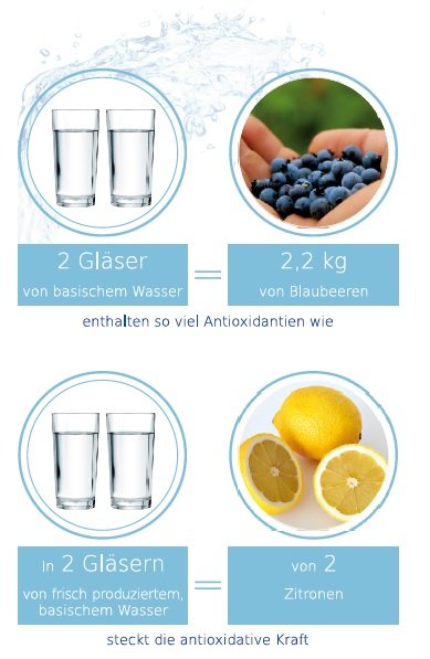 Wirkung Antioxidantien